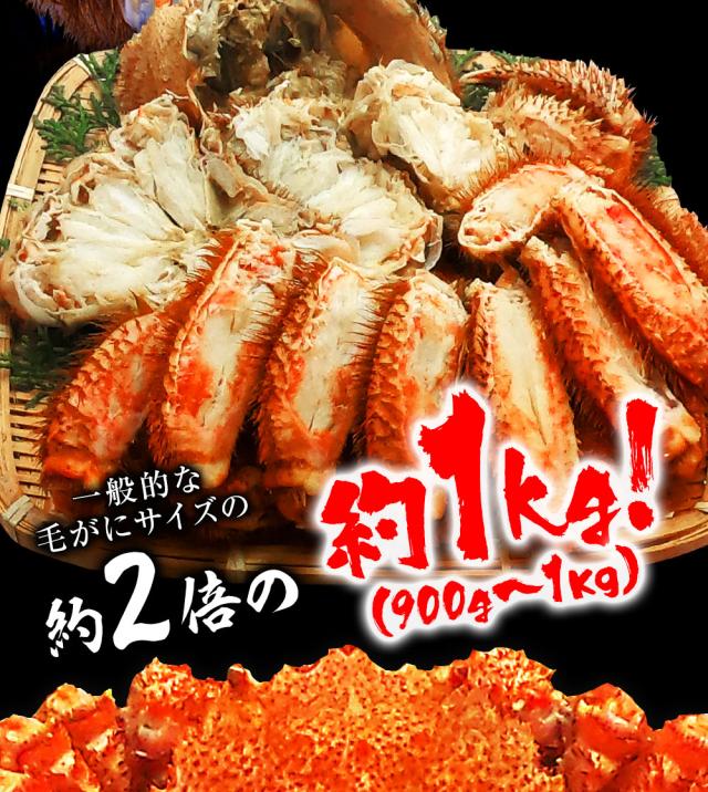 魚奏 ボイル毛ガニ姿 特大約 3尾 2.4kg〜2.7kg 送料無料 訳あり かに 蟹 かにしゃぶ かに鍋 お取り寄せ BBQ バーベキュー_16