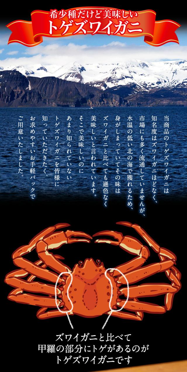 ボイル トゲズワイガニ ポーション 100本入 総重量約1700g 送料無料 ずわい かに かに 蟹 かにしゃぶ かに鍋 天ぷら_3