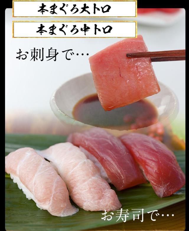 本鮪 まぐろ三昧 5種 1.5kg 赤身 中トロ 大トロ ネギトロ ほほ肉 送料無料 マグロ 鮪 ステーキ お刺身_12
