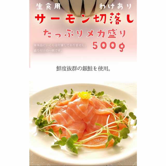 訳あり サーモン 切り落とし 500g 生食用 メガ盛り 海鮮 切落し 母の日 父の日 敬老 お中元 お歳暮 ギフトの通販はau PAY マーケット  - おさかな問屋 魚奏