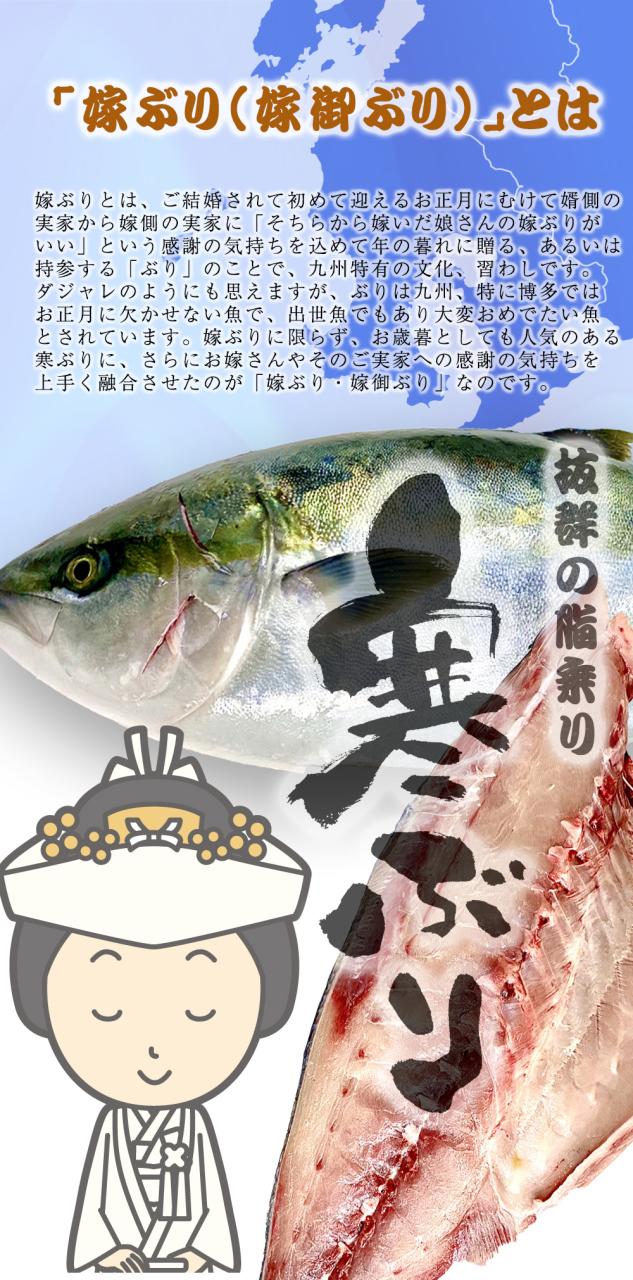 【OFFクーポン配布中】ぶり チルド 加工無し まるごと 1尾 約5kg 鹿児島 大分産 鰤 寒ブリ 嫁ぶり 刺身 ぶりしゃぶ ぶり照り お歳暮 送料無料 業務用_6
