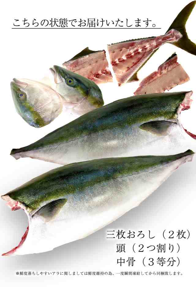 ぶり ブリ 鰤 寒ブリ 約5kg 刺身用 送料無料 チルド ブリしゃぶ 照り焼 在宅 在宅応援 お歳暮 ギフト 嫁ぶり 御嫁ぶり 初正月 お歳暮の通販はau Pay マーケット おさかな問屋 魚奏