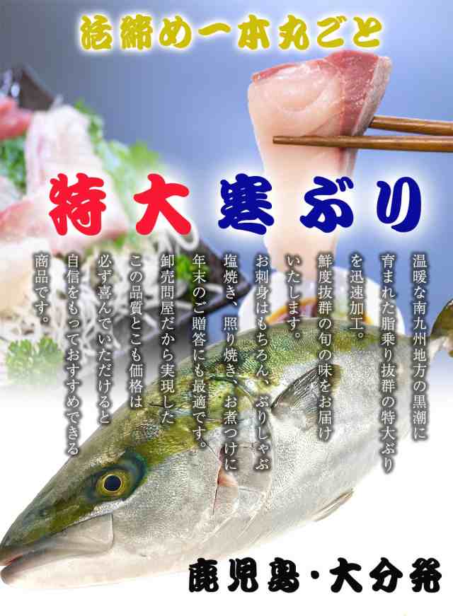 ぶり ブリ 鰤 寒ブリ 約5kg 刺身用 送料無料 チルド ブリしゃぶ 照り焼 在宅 在宅応援 お歳暮 ギフト 嫁ぶり 御嫁ぶり 初正月 お歳暮の通販はau Pay マーケット おさかな問屋 魚奏