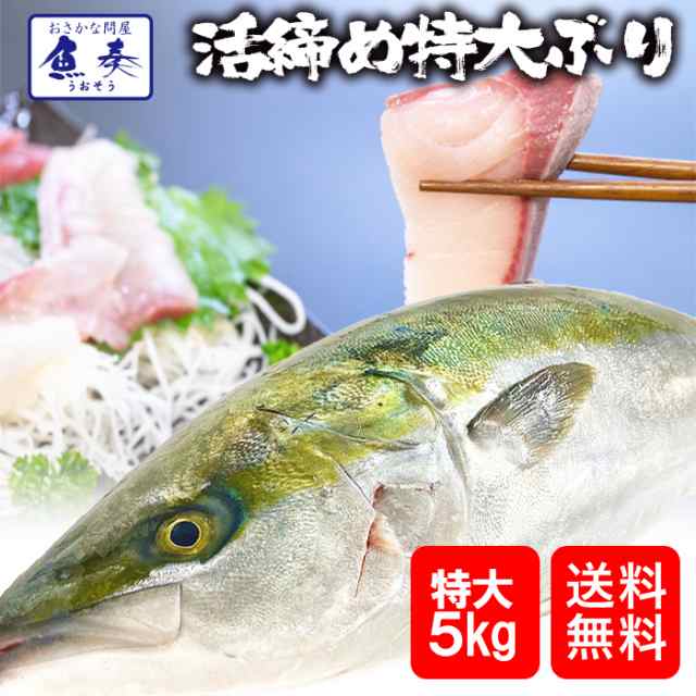 ぶり ブリ 鰤 寒ブリ 約5kg 刺身用 送料無料 チルド ブリしゃぶ 照り焼 在宅 在宅応援 お歳暮 ギフト 嫁ぶり 御嫁ぶり 初正月 お歳暮の通販はau Pay マーケット おさかな問屋 魚奏