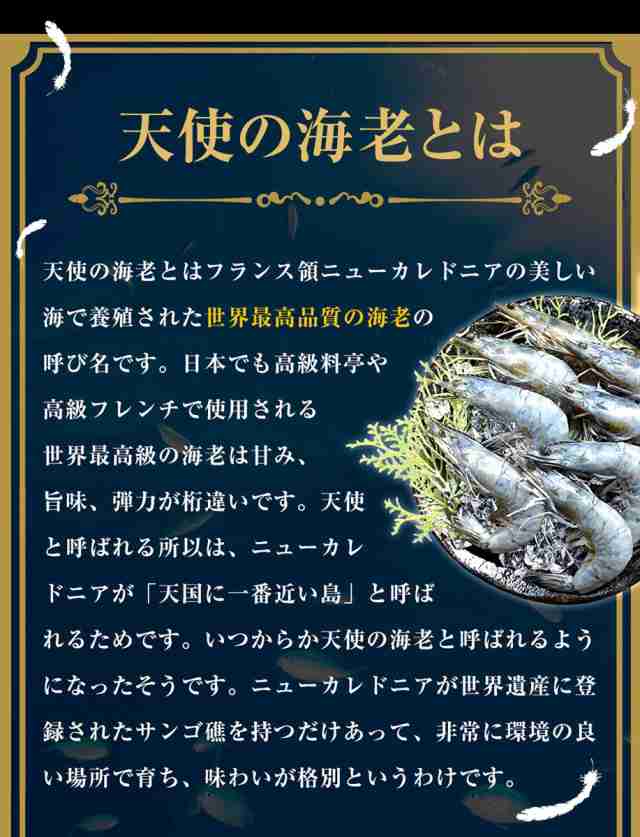 お中元ギフト 天使の海老特大サイズ1kg 最安値挑戦中 海鮮 天使の海老 有頭 特大サイズ 1kg お取り寄せ お試し世界最高品質 刺身 生食の通販はau  PAY マーケット - おさかな問屋 魚奏