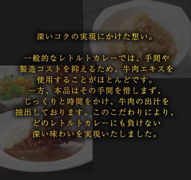 食研カレー 日本食研 1kg×12袋 送料無料 欧風ビーフカレー レトルト