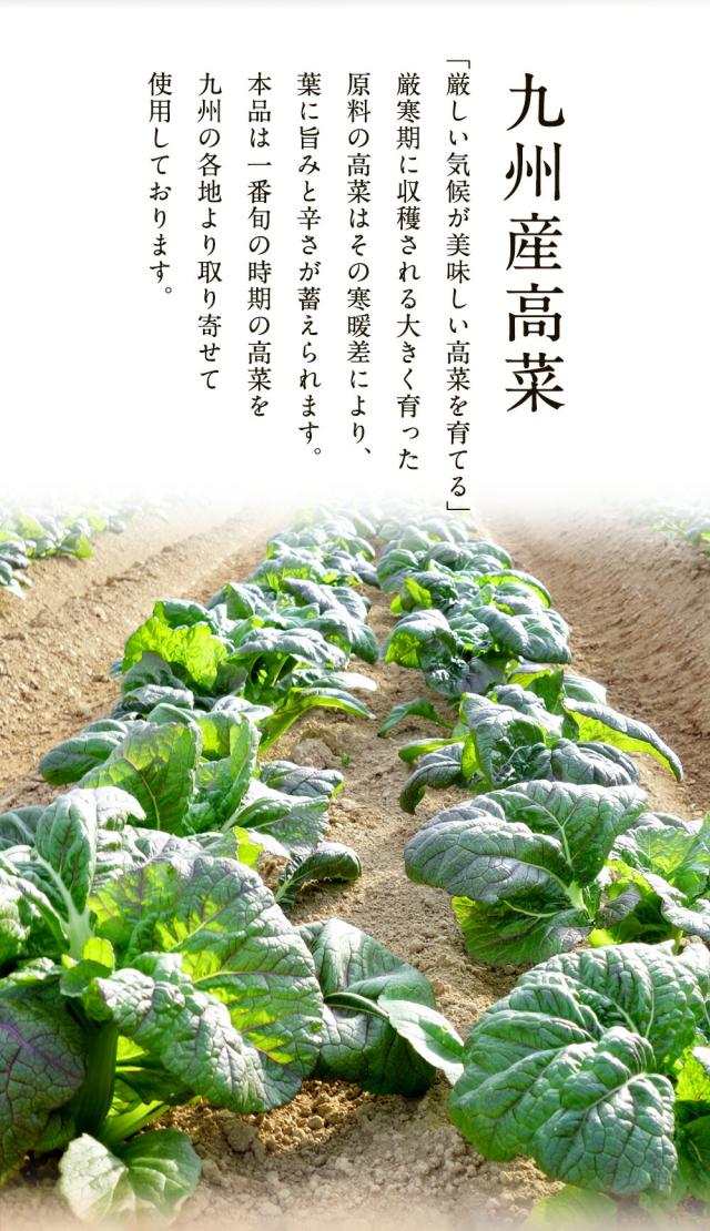 魚奏 魚屋こだわりのちりめん高菜 90g×50パック 国産ちりめんと九州産高菜使用 至高のご飯のお供 業務用 食品 おかず お弁当 お取り寄せ 送料無料_4