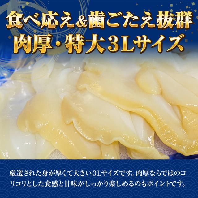 つぶ貝むき身 500ｇ ツブ貝 粒貝 ツブ貝 開き 生食用 ロシア産 送料無料 つぶがい貝 寿司ネタ 炙り 貝類