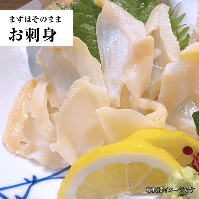 つぶ貝むき身 500ｇ ツブ貝 粒貝 ツブ貝 開き 生食用 ロシア産 送料無料 つぶがい貝 寿司ネタ 炙り 貝類