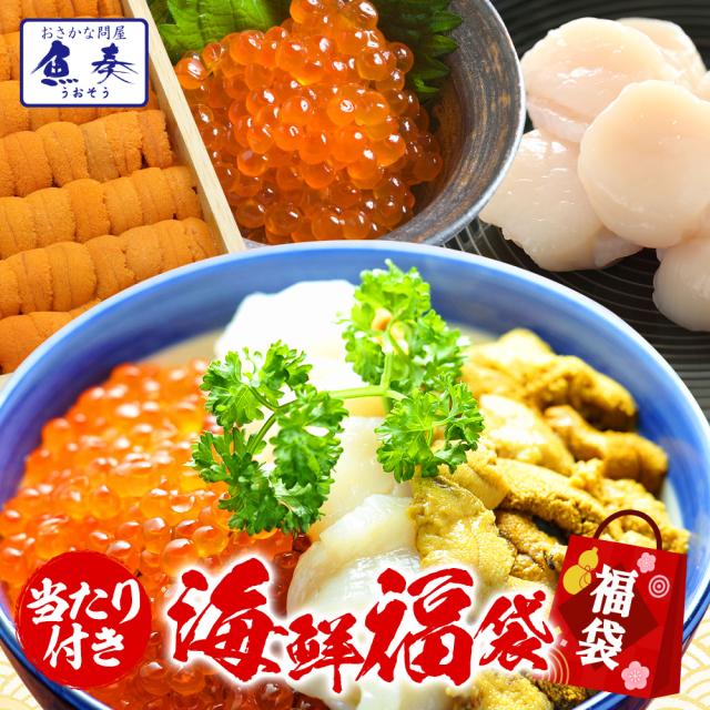 魚奏 【単品合計10,→5,】2023年豪華海鮮福袋 当たり付き ウニ いくら ホタテなど 5〜7点 詰合せ 赤字 応援 在庫処分 訳あり 送料無料 食べ物 食品ロス グルメ