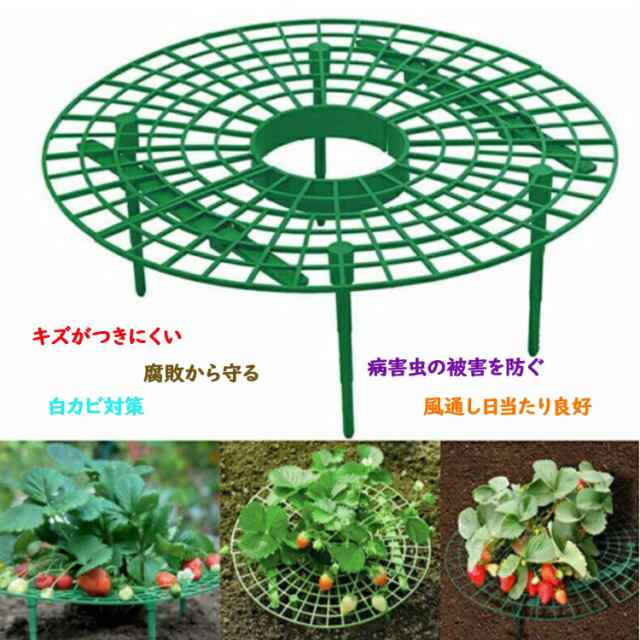 オンラインストア専門店 フラワースタンド いちご植え支柱 園芸支柱