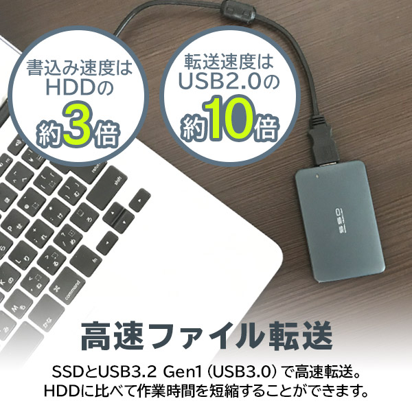 パラレルス Parallels Desktop Pro Edition プロ1年版 軽量 小型 Mac用 耐衝撃 ポータブルssd 240gb Macos Big Sur 11 0 対応確認済 Lの通販はau Pay マーケット ロジテックダイレクト