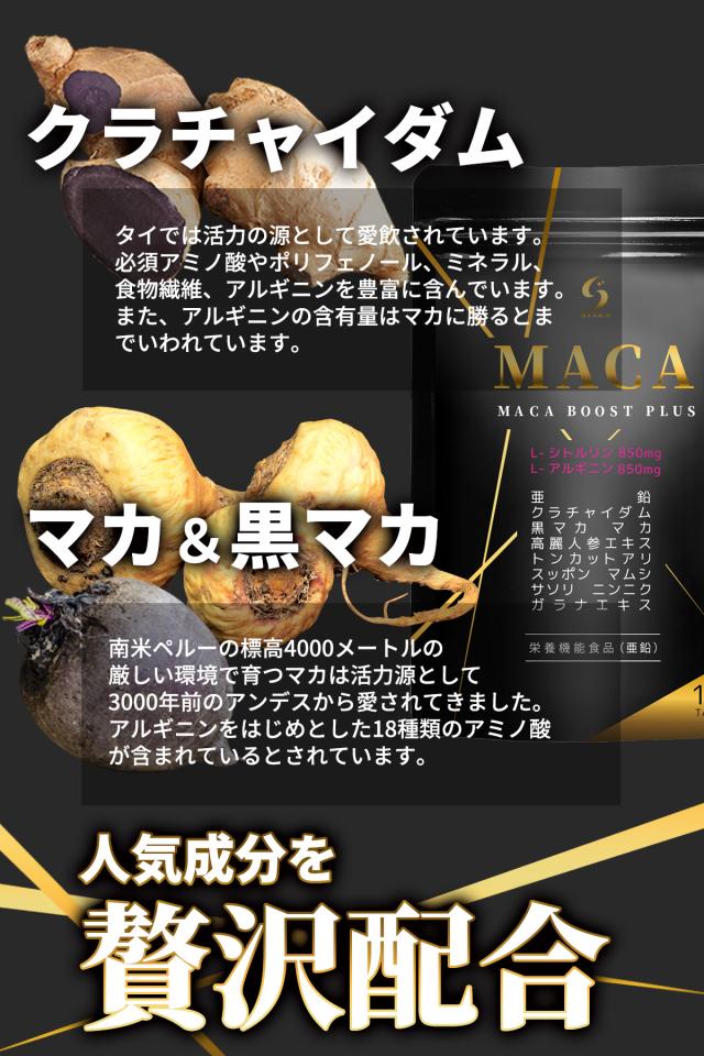 明治薬品 金蛇精BLACK 新たなる伝説 90粒×4袋