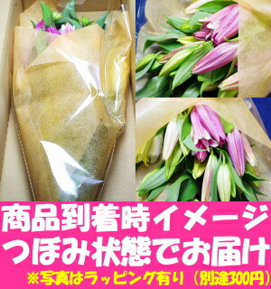 花 ユリ 父の日 母の日 花束 大輪 ギフト 白 10本 40輪 国産 誕生日 ゴージャス プレゼント 花持ちが1週間違う 花農家直送 生花 百合 旬の ゆり ホワイト ユリ花束 送料無料 結婚記念日 開店祝い 退院祝い 御祝 お祝い お供え にも人気 2026_1