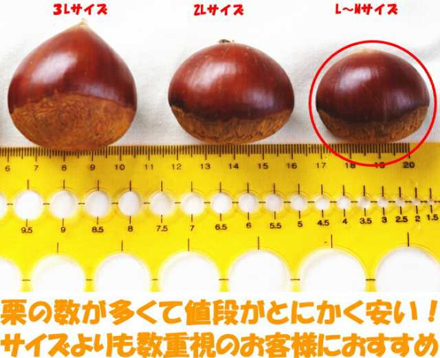 栗 生栗 送料無料 高知 西土佐産 四万十栗 約1.5kg L〜Ｍサイズ 約90〜100個 なまぐり なまくりの通販はau PAY マーケット  クックス産直生鮮市場 au PAY マーケット－通販サイト