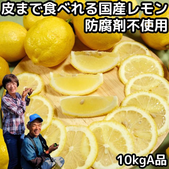 レモン 国産 ノーワックス 安心 防腐剤 不使用 10kg A品 皮まで食べれる 和歌山 有田さんさん リスボン 黄色の通販は