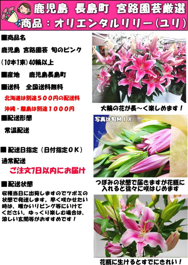 花 ユリ ピンク 父の日 母の日 花束 大輪 ギフト ピンク 10本 40輪 国産 誕生日 ゴージャス プレゼント お祝い 送料無料 花持ちが1週間違う 大きい 花 農家 直送 生花 百合 旬の ゆり pink ユリ花束 フラワー 配達 結婚記念日 退院祝い 御祝 お供え 2026_4