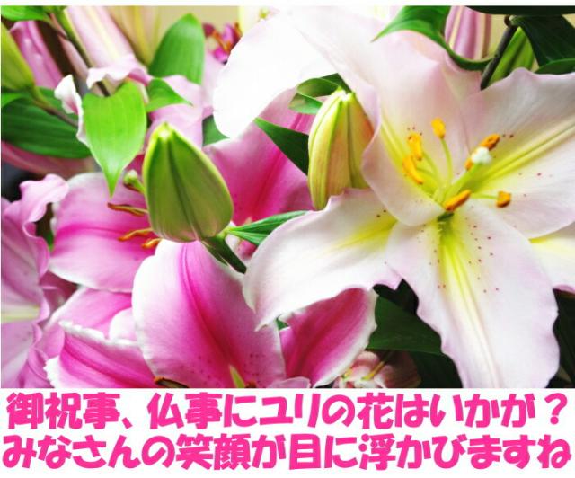 花 ユリ ピンク 父の日 母の日 花束 大輪 ギフト ピンク 10本 40輪 国産 誕生日 ゴージャス プレゼント お祝い 送料無料 花持ちが1週間違う 大きい 花 農家 直送 生花 百合 旬の ゆり pink ユリ花束 フラワー 配達 結婚記念日 退院祝い 御祝 お供え 2026_9