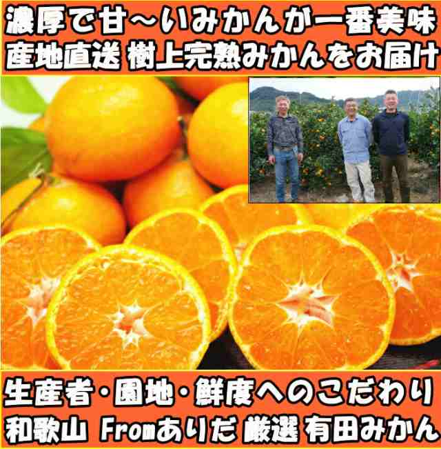 樹上完熟　早生　和歌山　PAY　au　クックス産直生鮮市場　箱　5kg　わけあり　家庭用　マーケット　PAY　有田　ありたみの通販はau　買い　2l〜3s　訳あり　糖度　有田みかん　A品　fromありだ　送料無料　甘い　みかん　マーケット－通販サイト