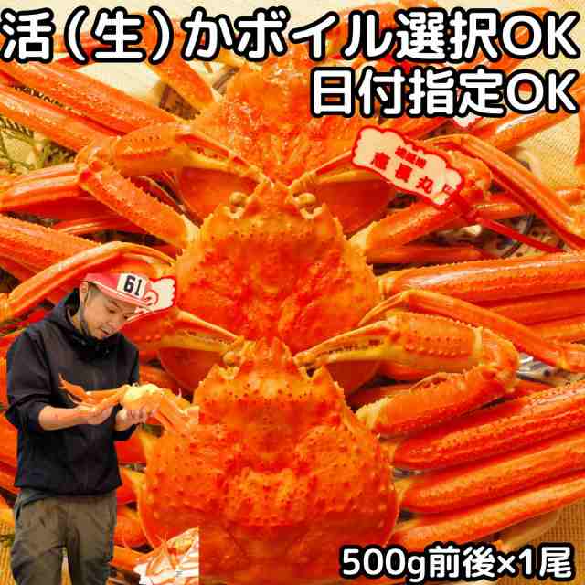 カニ 松葉ガニ 日付指定OK 1尾 500g前後×1尾 活 生 か ボイル 選択可 未冷凍 送料無料 国産 鳥取 境港 直送 松葉蟹 姿 生食用 かに チルド ギフト 松葉がにの通販は