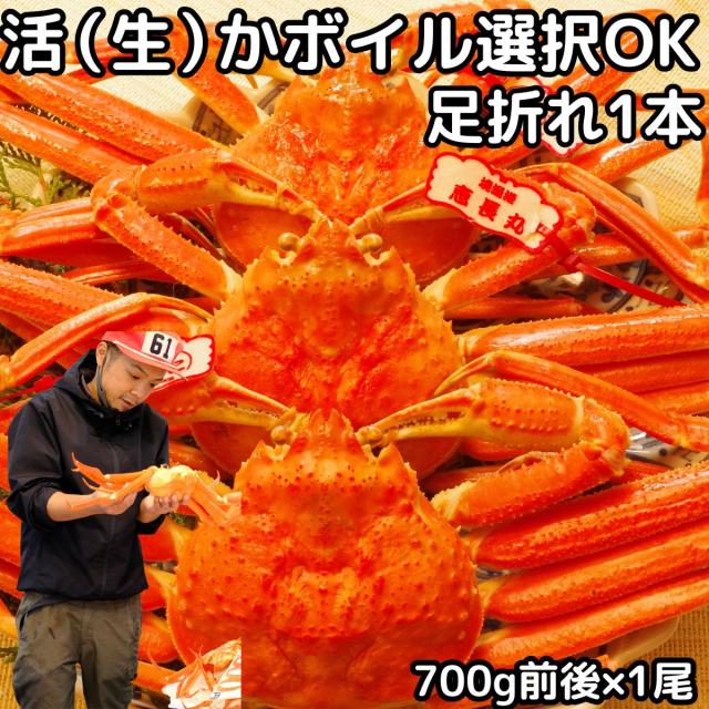 カニ 松葉ガニ 訳あり 足折れ 1本なし 日付指定OK 700g前後×1尾 活 生 か ボイル 選択可 未冷凍 送料無料 国産 鳥取 境港 直送 松葉蟹 姿 生食用 かに チルド ギフト