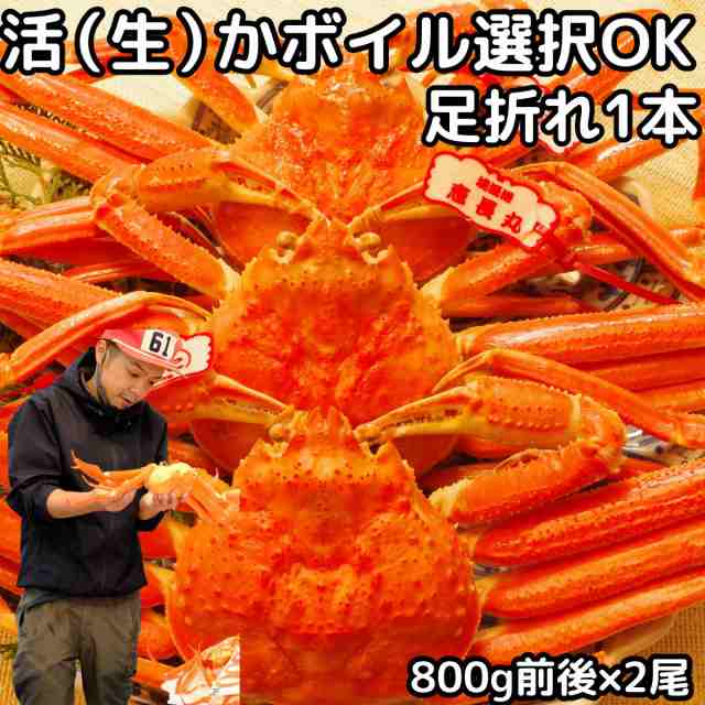 カニ 松葉ガニ 訳あり 足折れ 1本なし 日付指定OK 800g前後×2尾 活 生 か ボイル 選択可 未冷凍 送料無料 国産 鳥取 境港 直送 松葉蟹 姿 生食用 かに チルド ギフト 18,899円