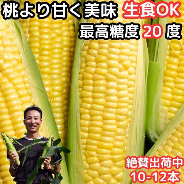 甘い　朝採　とうもろこし　贈答　桃より甘い　A品　マーケット　クックス産直生鮮市場　恵味　PAY　10〜12本　出荷中】　長野産　生で食べれる　生トウモロコシの通販はau　au　41万本突破　PAY　県外不出　2L〜L　マーケット－通販サイト