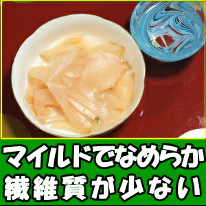 生姜 新生姜 直送 10kg 2Lサイズ 国産 長崎 島原 JGAP取得 松本農園 朝どれ当日出荷 新しょうが 甘酢 佃煮 料理用途多数 新 生姜 シンショウガ しんしょうが 産地直送 2026_1