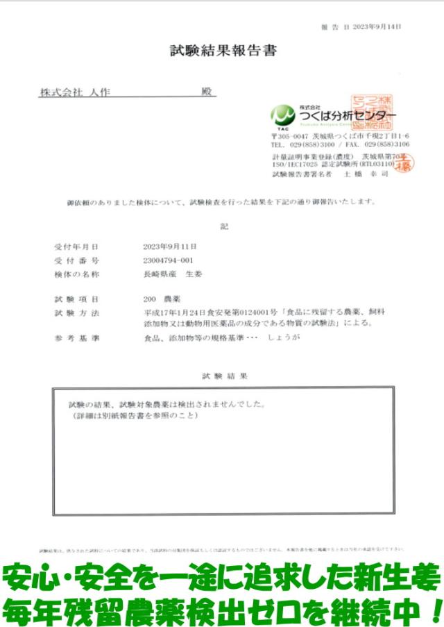生姜 新生姜 直送 10kg 2Lサイズ 国産 長崎 島原 JGAP取得 松本農園 朝どれ当日出荷 新しょうが 甘酢 佃煮 料理用途多数 新 生姜 シンショウガ しんしょうが 産地直送 2026_10