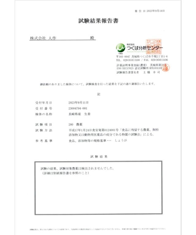 生姜 新生姜 直送 10kg 2Lサイズ 国産 長崎 島原 JGAP取得 松本農園 朝どれ当日出荷 新しょうが 甘酢 佃煮 料理用途多数 新 生姜 シンショウガ しんしょうが 産地直送 2026_3