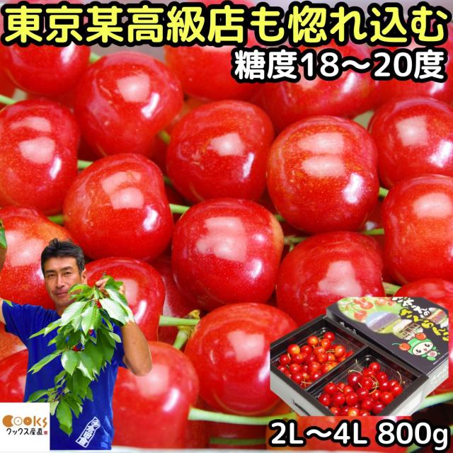 さくらんぼ 紅王 超大玉 2l - 4l大きさ 800g お中元 差し上げ物 べにおう 貨物輸送無料 差し上げ物 円錐小体県 寒河江 生まれ育つさくらんぼ 御中元 差し上げる用 さがえ 日本の首都某御膳上等店も認める味と性質