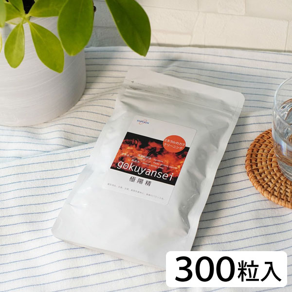 千坂式 極陽精（ごくやんせい）・徳用（約330mg×300粒）【食健】【送料無料】