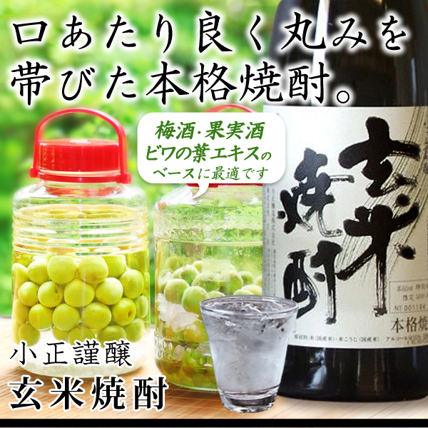 ふるさと納税 焼酎 米 神奈川県 川崎市 特製 玄米焼酎35% 本格米焼酎 1800ml 紙パック 6本 小正醸造 発売元 株式会社片山 ふるさと納税特製 玄米焼酎仕込み 梅酒 720ml × 2本