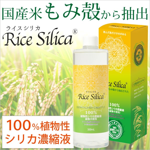 トーンヌール 12個 新品未使用 トーンヌール 12個 新品未使用