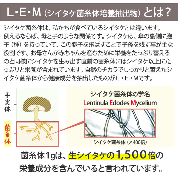 モンフェロン1200 細粒（90g（3g×30袋））【オールグリーン】【送料無料】_2