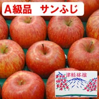 A級品】サンふじ青森りんご（約15kg）【竹嶋有機農園】【直送につき代