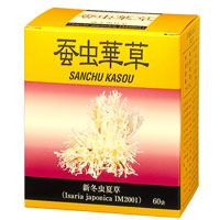 蚕虫華草＜新冬虫夏草＞（1.5g×60）【エヌアンドピー】【送料無料】