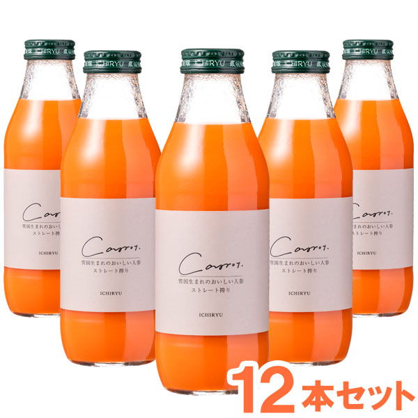 雪国生まれのおいしい人参ジュース（500ml）【12本セット】【いち粒】