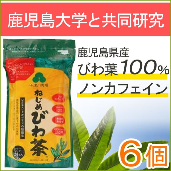 ねじめびわ茶24（48g（2g×24包））【6個セット】【十津川農場】の通販は
