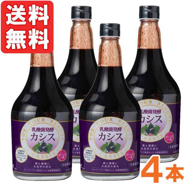 【9月新商品】乳酸菌発酵カシス＜5倍希釈＞（565ml）ビン【4本セット】【ジャフマック】【送料無料】