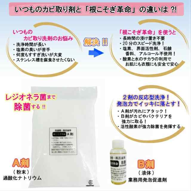 根こそぎ革命 1個 外箱なし 説明書付き 洗濯槽洗浄 風呂釜洗浄 業務用洗剤 洗濯槽カビ取り レジオネラ菌除菌 カビ取り 酸素系洗剤 正規代の通販はau  PAY マーケット - ANS