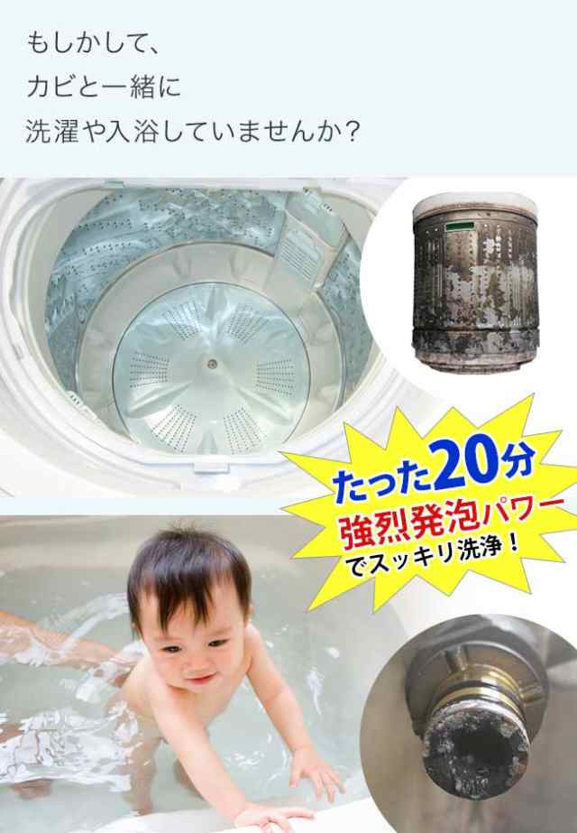 洗濯槽 クリーナー カビ取り 「 根こそぎ革命 」 6個セット 宮崎化学