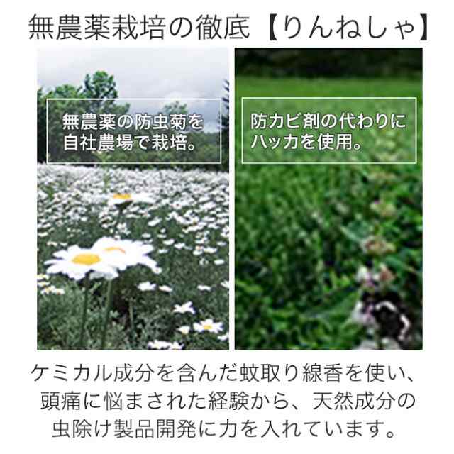 STYLE JAPAN 菊花線香 標準型 」10巻×3パック(30巻) 子供やペットにも