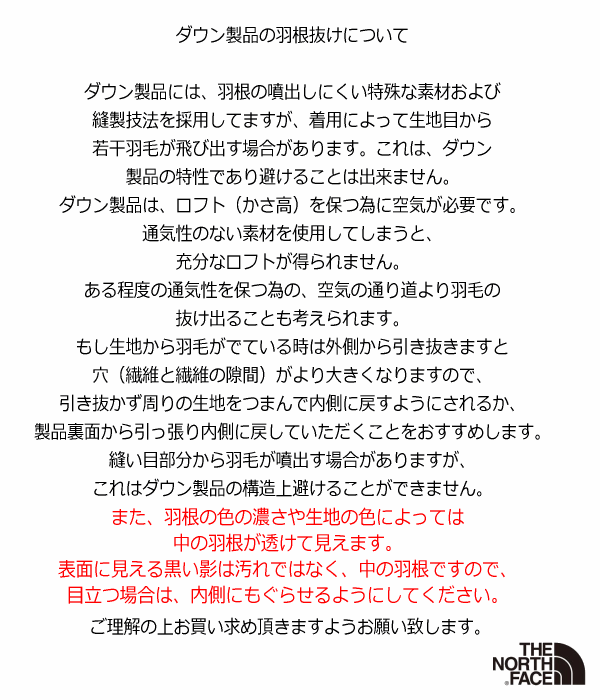 国内正規品）ザ・ノースフェイス メンズ ダウンジャケット サンダー