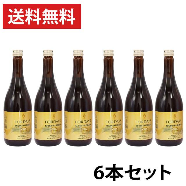 期間限定 希少ピラミッド HUGミューアnazoKヒーリングあ〜と気場補正コイル