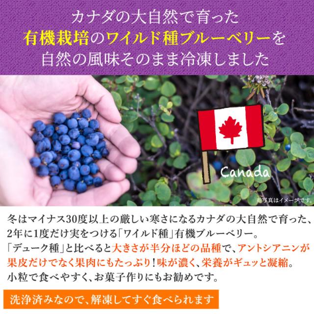 冷凍 オーガニック ワイルド ブルーベリー4kg（200g×20パック） 無農薬