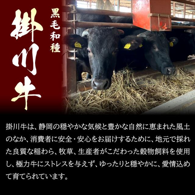 お中元 ビフテキ肉 牛 差し上げ物 掛川牛 サーロインビフテキ400g (200g×2枚) 黒毛和牛 A5・A4カテゴリー化 国産 肉 差し上げ物 食物 内祝い 御祝い 静岡 御膳上等 差し上げ物 凝結