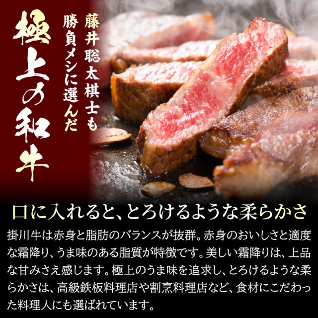 お中元 ビフテキ肉 牛 差し上げ物 掛川牛 サーロインビフテキ400g (200g×2枚) 黒毛和牛 A5・A4カテゴリー化 国産 肉 差し上げ物 食物 内祝い 御祝い 静岡 御膳上等 差し上げ物 凝結