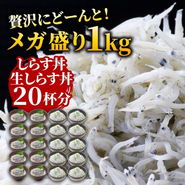 しらすのハーフ丼に 用宗港 静岡県駿河湾 生しらす 釜揚げしらす 1kgセット 冷凍 元気いただきますプロジェクト販売価格助成商の通販はau Pay マーケット 大五うなぎ工房