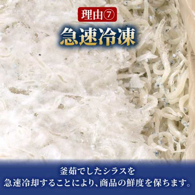 大切な 静岡県産 生しらす1kg 100g×10 しらす シラス 生シラス 冷凍 用宗港 駿河湾 静岡 静岡県 生しらす丼 メガ盛り 業務用 